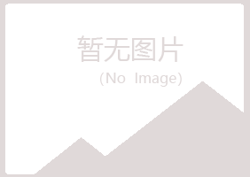 方山县岑迷服务有限公司